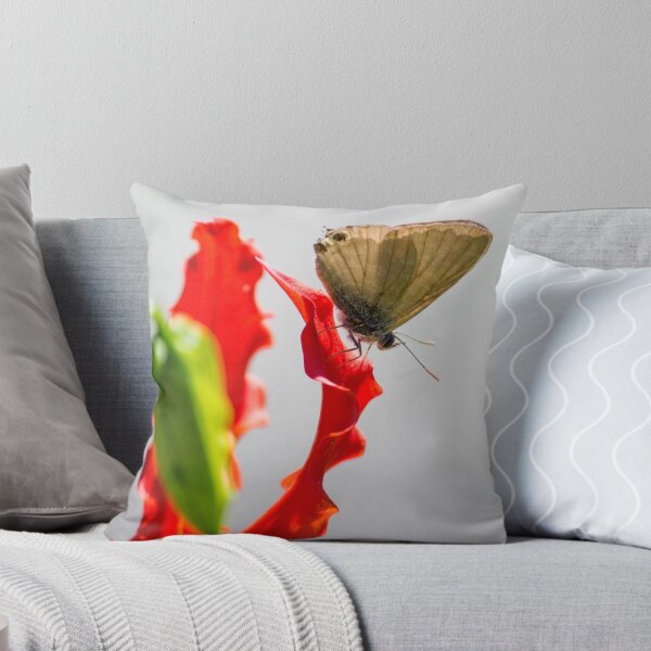 Artikelvorschau, Cycad Blau, Blume Rot entworfen und verkauft von Teale Britstra.