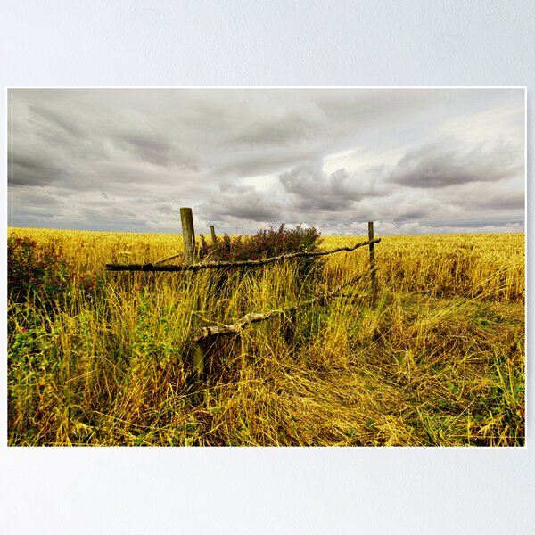 Item preview, Wild is the wind designed and sold by j.p. Howley.