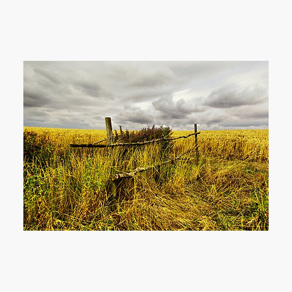 Item preview, Wild is the wind designed and sold by j.p. Howley.