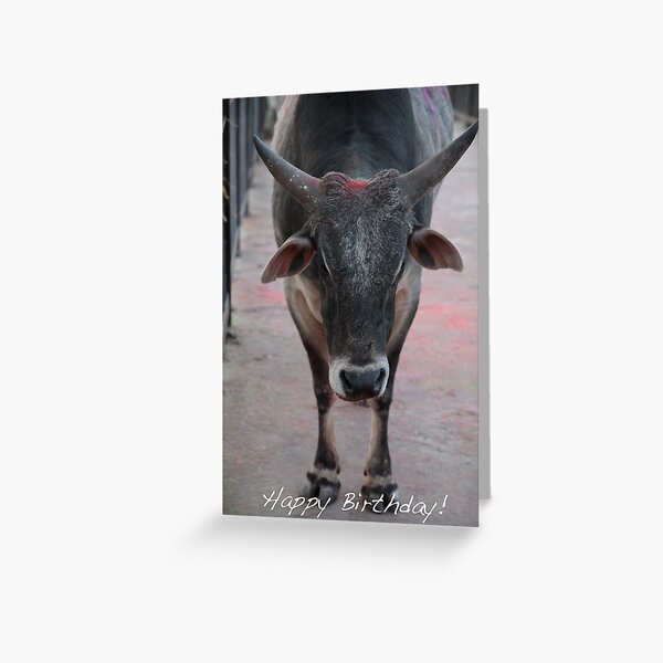 Holy Cow Birthday Greeting Card