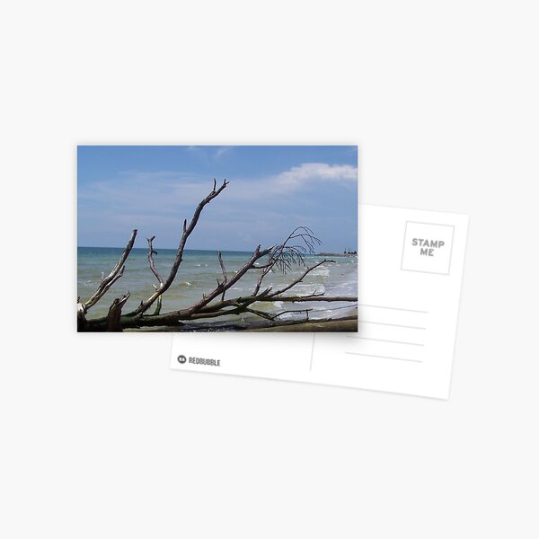 Item preview, reaching skyward.... designed and sold by Tgarlick.