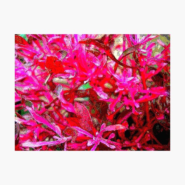 Item preview, Pink Fusion designed and sold by Angelo Aguinaldo.