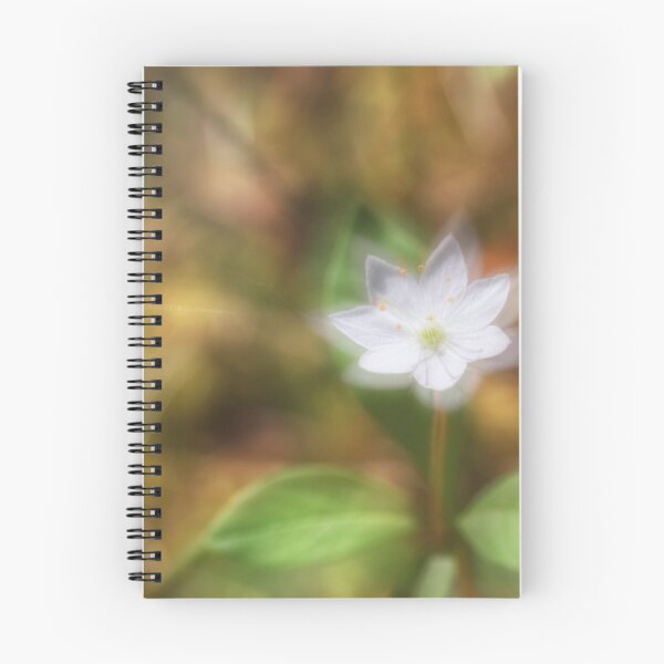 Item preview, Starflower designed and sold by Veikko  Suikkanen.