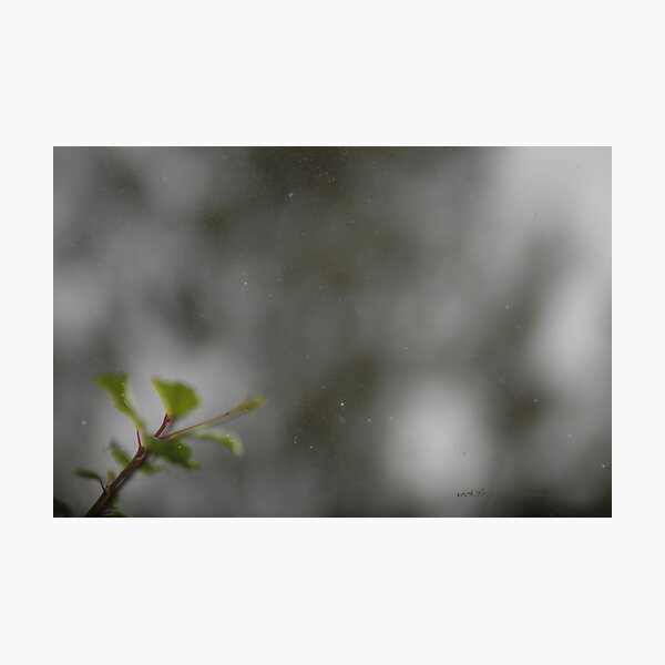 Item preview, Time & Space © Vicki Ferrari designed and sold by Vicki Ferrari Photography.