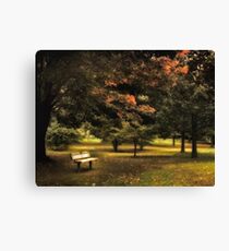 Secluded Canvas Print