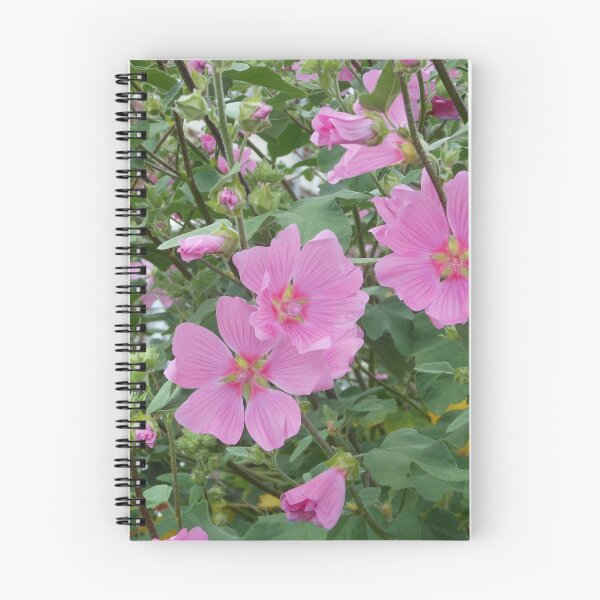 Item preview, Delicate Pink Hibiscus Blossoms  designed and sold by BlueMoonRose.