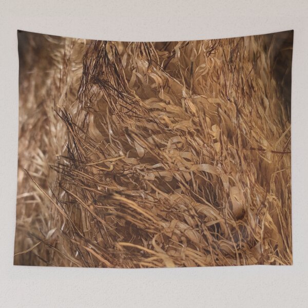 Item preview, Fur on an Australian Tree Fern designed and sold by Gubbz.
