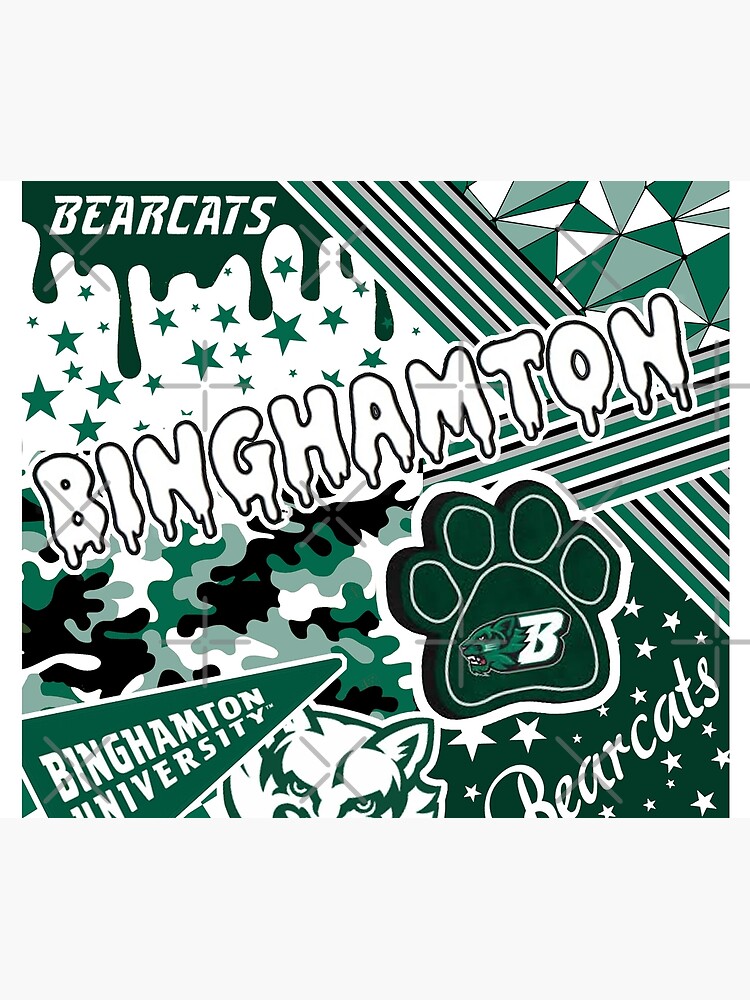 Binghamton University by Leilasayan