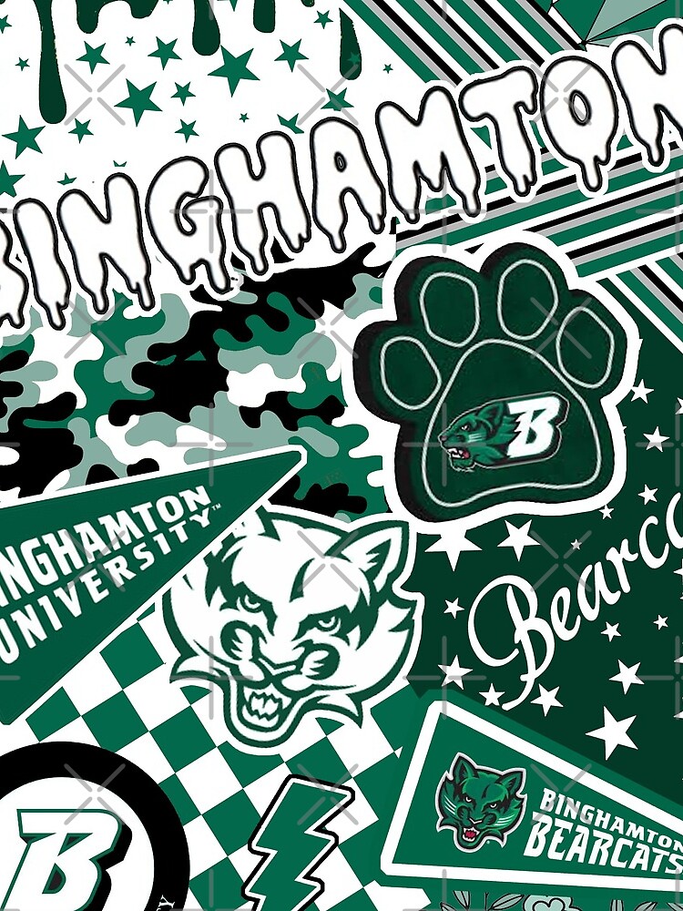 Binghamton University by Leilasayan