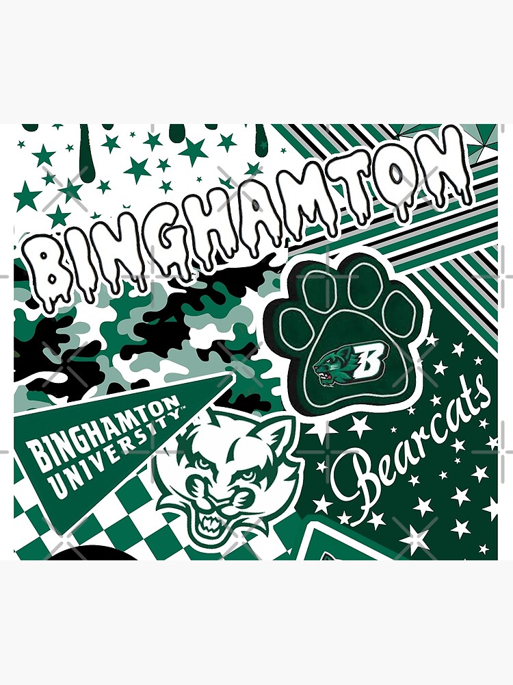 Binghamton University by Leilasayan