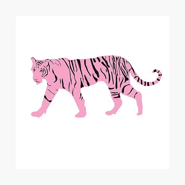 Pink Tiger Photographic Print