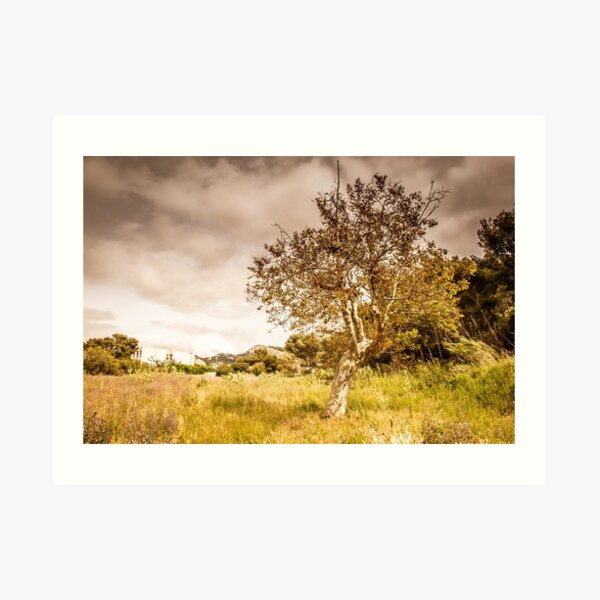 Tree in post apocalyptic atmosphere Art Print