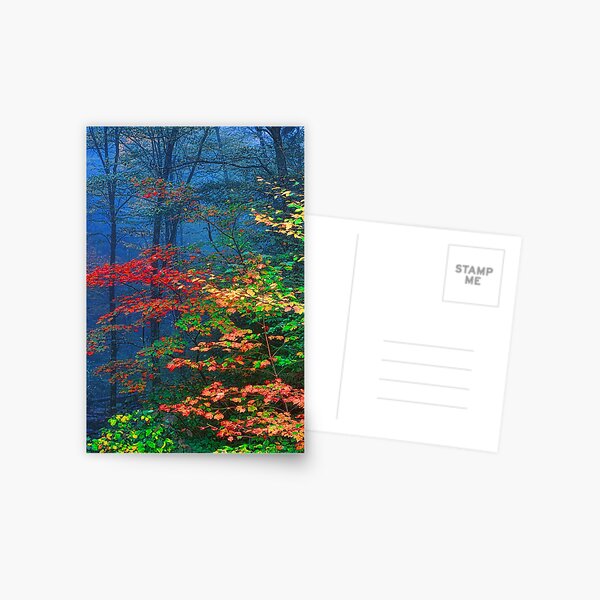 Item preview, MISTY AUTUMN FOREST designed and sold by Chuck Wickham.
