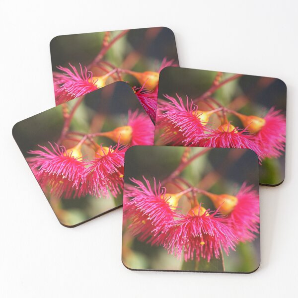 Item preview, Eucalyptus Living Bells designed and sold by Joy Watson - Natural Light Photography .