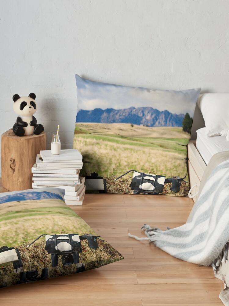 Alternate view of The letterboxes Floor Pillow