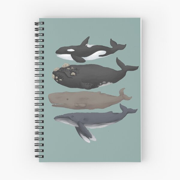 Item preview, Whale Chart designed and sold by orcabelly.
