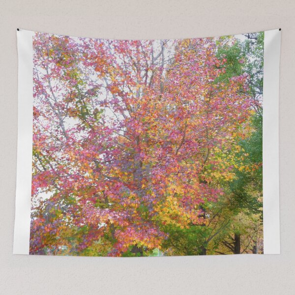 Item preview, Autumn Leaves designed and sold by bradm50.