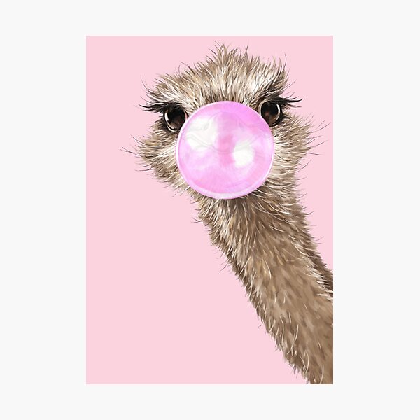 Sneaky Ostrich with Bubble Gum in Pink Photographic Print