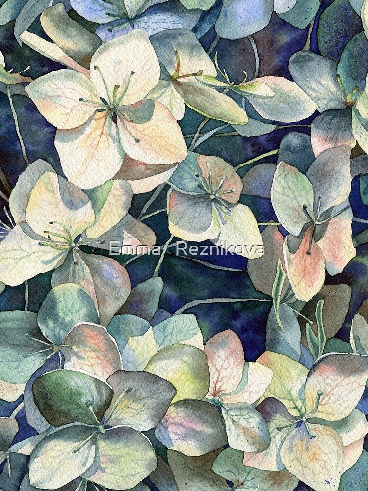 Summer hydrangea by EMMARE