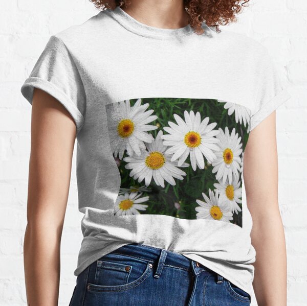 Daisies Classic T-Shirt