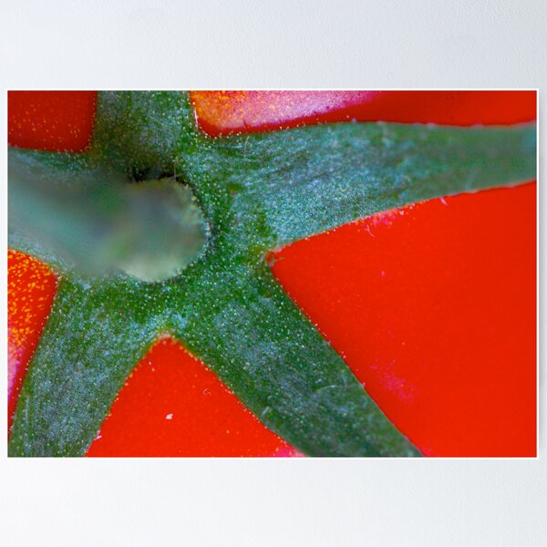 Item preview, red star designed and sold by yvesrossetti.