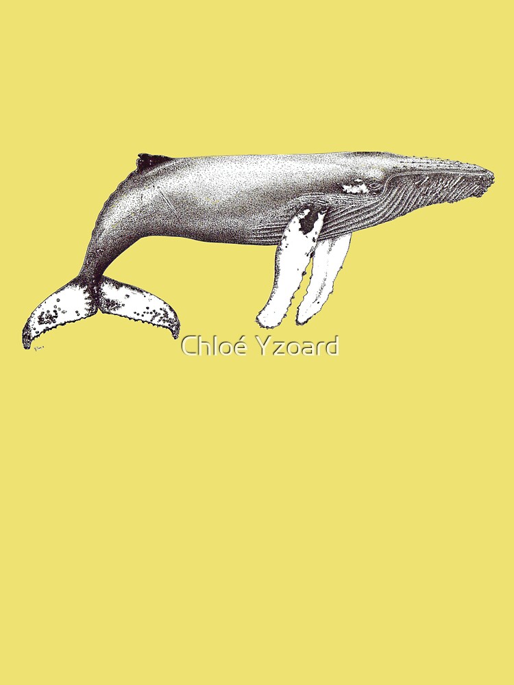 Orca killer whale Water Bottle by Chloe Yzoard