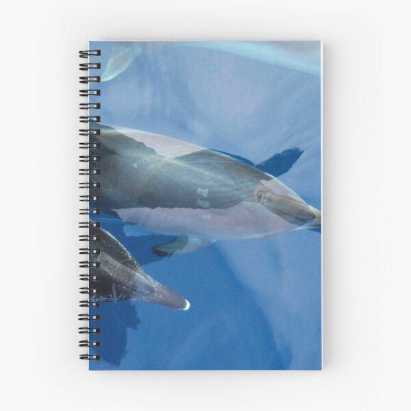 Item preview, Dolphin and human shadows for animal lovers designed and sold by Chloé Yzoard.