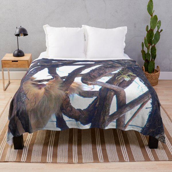 Item preview, Two-toed sloth and orchids in Costa Rica designed and sold by Chloé Yzoard.