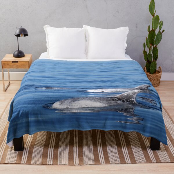 Item preview, Risso´s dolphins (Grampus griseus) in the Atlantic ocean designed and sold by Chloé Yzoard.