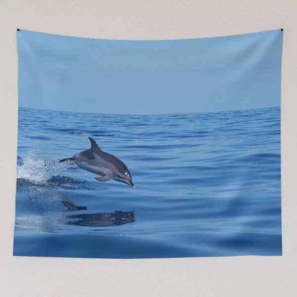 Item preview, Spotted dolphin jumping in the Atlantic ocean designed and sold by Chloé Yzoard.