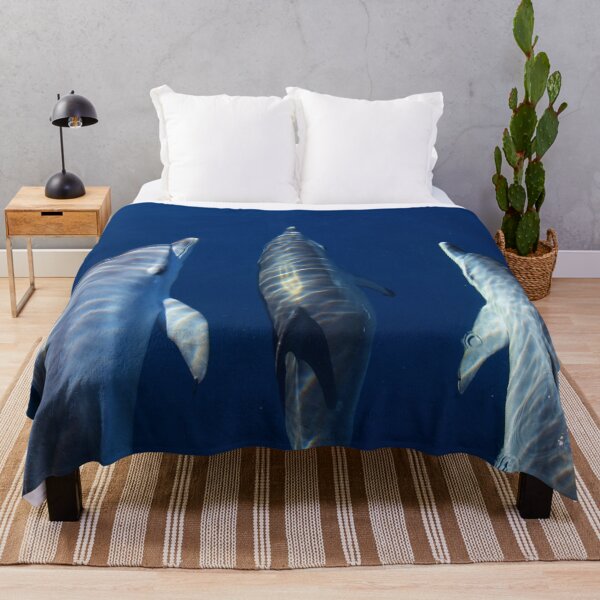 Item preview, Spotted dolphins playing by the boat designed and sold by Chloé Yzoard.