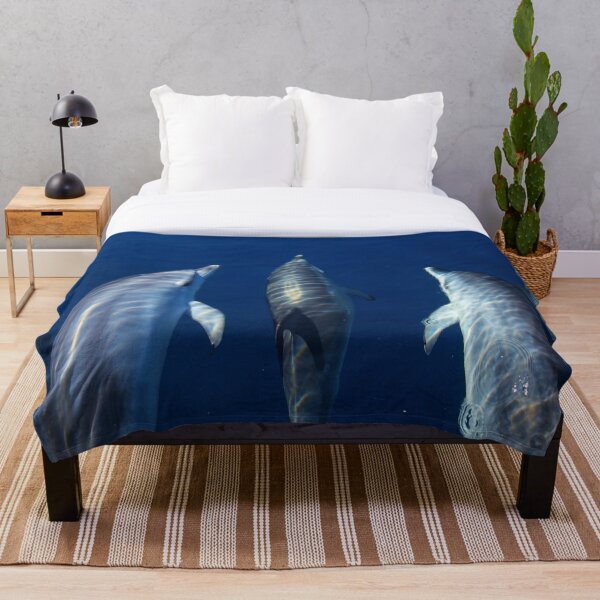 Item preview, Spotted dolphins playing by the boat designed and sold by Chloé Yzoard.