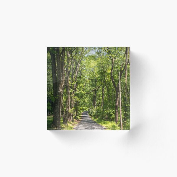 Driving into Delaware Acrylic Block