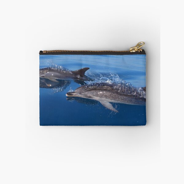 Item preview, Atlantic spotted dolphins, mother and baby dolphin (Stenella frontalis) designed and sold by Chloé Yzoard.