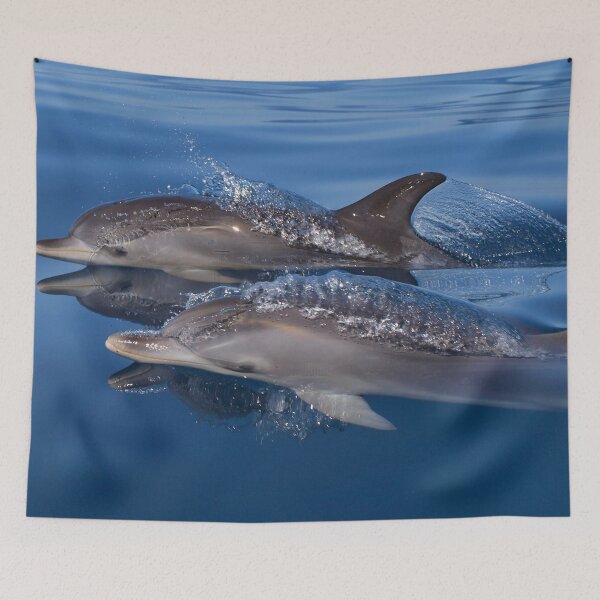 Item preview, Beautiful and peaceful dolphins designed and sold by Chloé Yzoard.