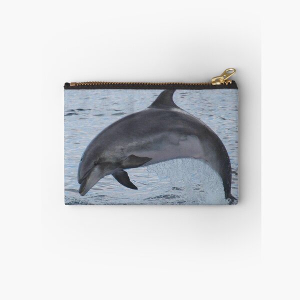Item preview, Bottlenose dolphin designed and sold by chloeyzoard.