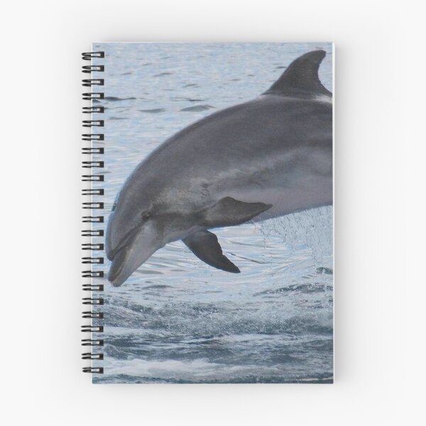 Item preview, Bottlenose dolphin designed and sold by chloeyzoard.