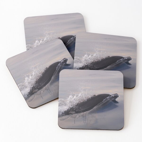 Item preview, Last dolphin last ray of light designed and sold by chloeyzoard.