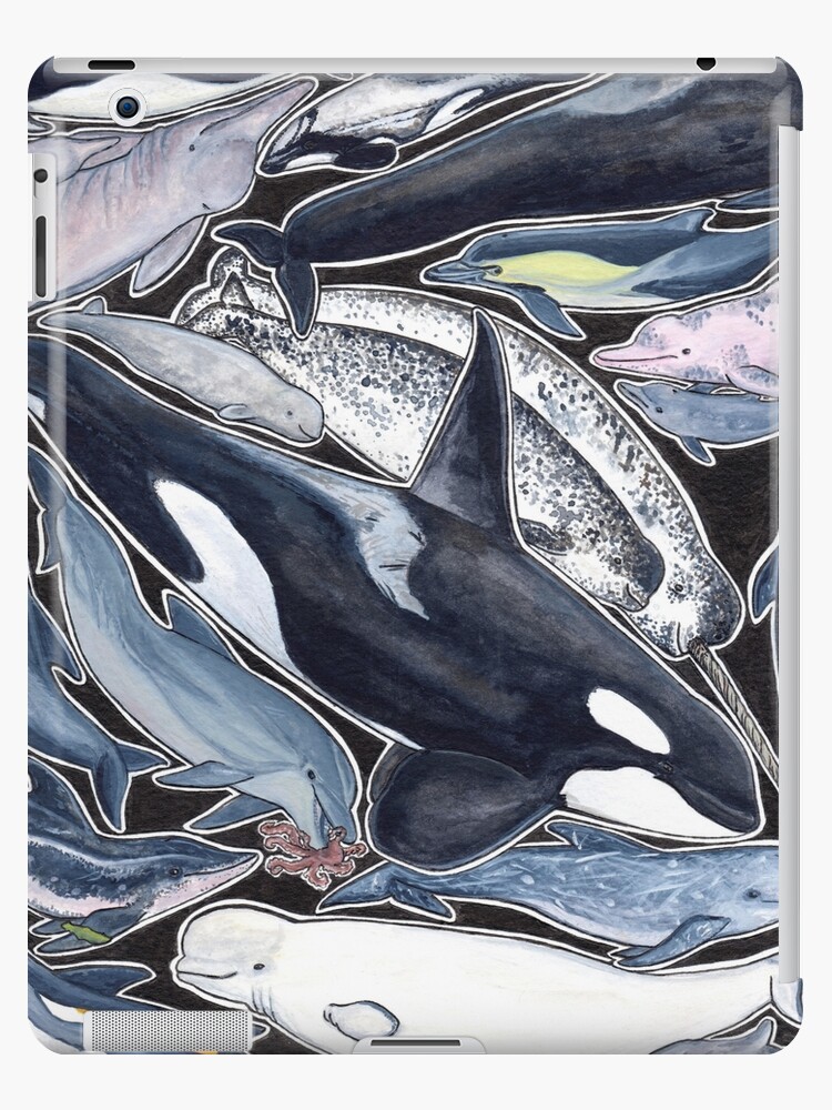 Orca killer whale Water Bottle by Chloe Yzoard