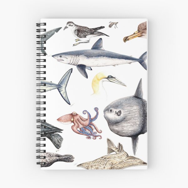 Item preview, Marine wildlife designed and sold by chloeyzoard.
