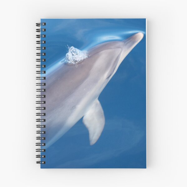 Item preview, Dreaming about dolphins designed and sold by chloeyzoard.