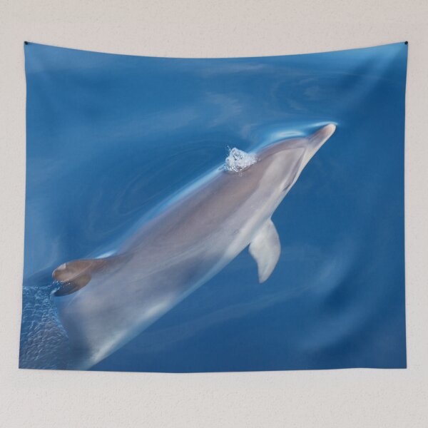 Item preview, Dreaming about dolphins designed and sold by chloeyzoard.