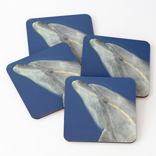 Item preview, Making friends with a bottlenose dolphin designed and sold by chloeyzoard.
