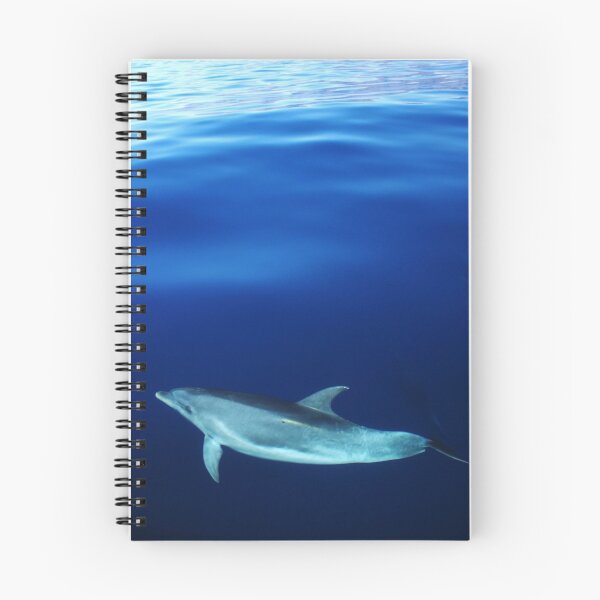 Item preview, Dolphin and blues designed and sold by chloeyzoard.