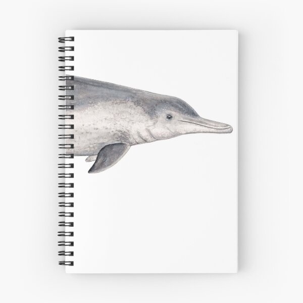 Item preview, Australian humpback dolphin (Sousa sahulensis) with baby designed and sold by chloeyzoard.