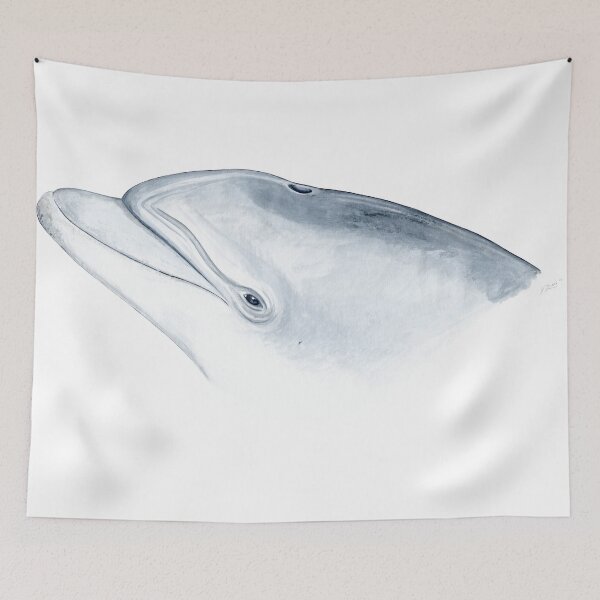 Item preview, Bottlenose dolphin designed and sold by chloeyzoard.