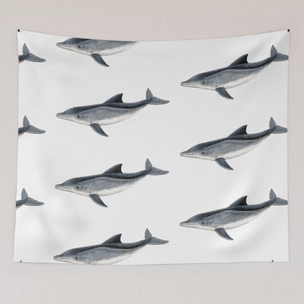 Item preview, Rough toothed dolphin designed and sold by chloeyzoard.
