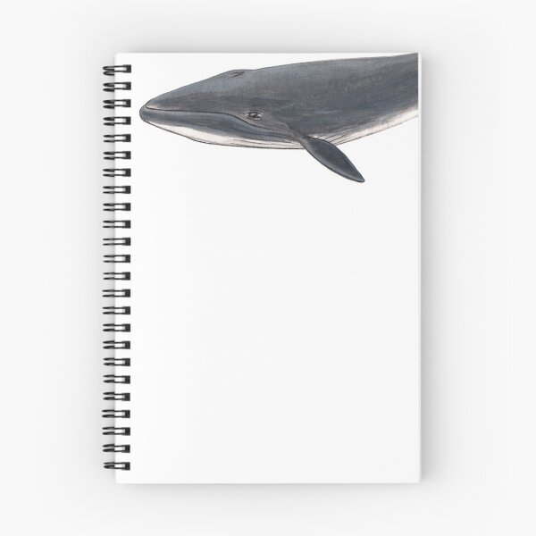 Item preview, Baby Sei whale designed and sold by chloeyzoard.