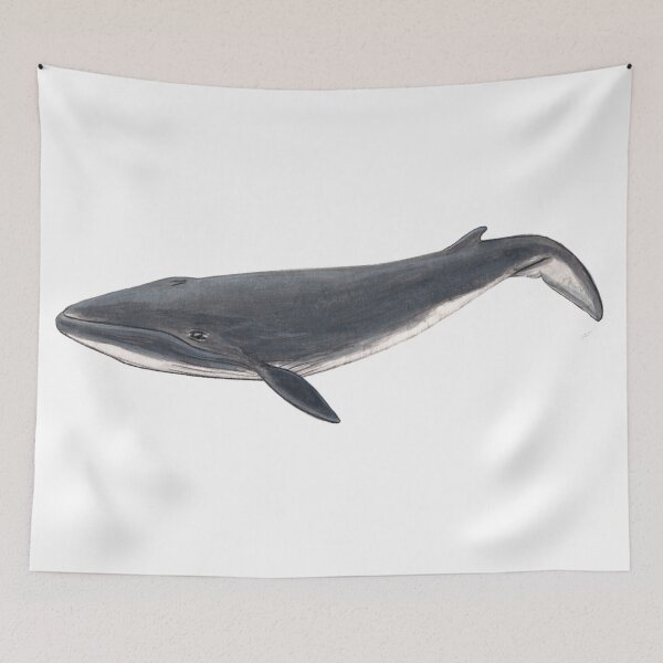 Item preview, Baby Sei whale designed and sold by chloeyzoard.