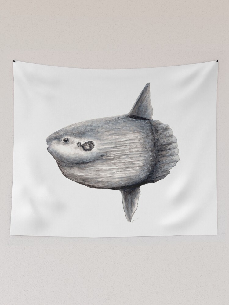 Fish Swim Drying Mat - Yahoo Shopping